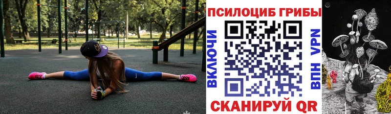 Псилоцибиновые грибы GOLDEN TEACHER  продажа наркотиков  Березники 