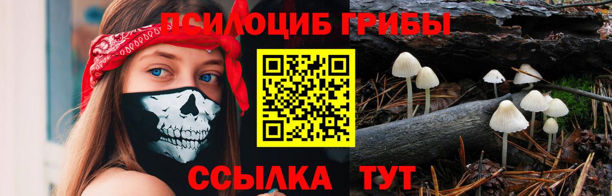 Псилоцибиновые грибы Magic Shrooms Березники
