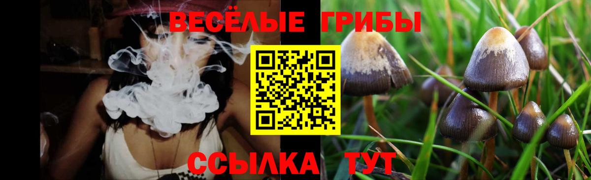 Галлюциногенные грибы ЛСД  Вход с VPN  Псилоцибиновые грибы Magic Shrooms  Березники 